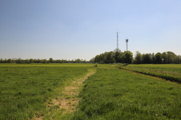 Fototapeta na wymiar A typical radio and mobile phone network telecommunications tower situate in a farmland.