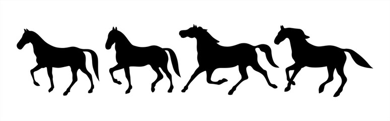 Ways of moving horses