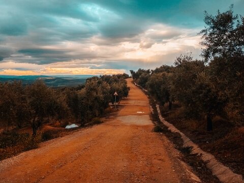 Camino con charcos en un d&iacute;a lluvioso