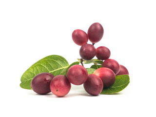 Pile of Carissa carandas Linn,Karanda, Carunda isolated on white background