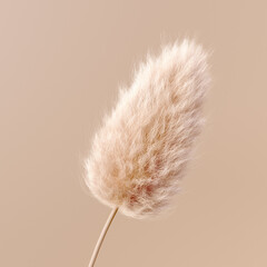 Abstract fluffy flower beige pastel color boho background 3d rendering. Fur design element isolated © vpanteon