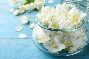 Obraz na płótnie Canvas Beautiful jasmine flowers in glass jar on light blue wooden table, closeup. Space for text