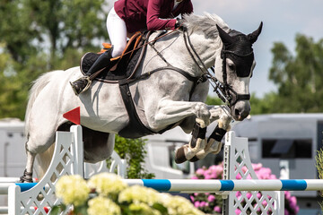 Horse Jumping, Equestrian Sports, Show Jumping themed photo.