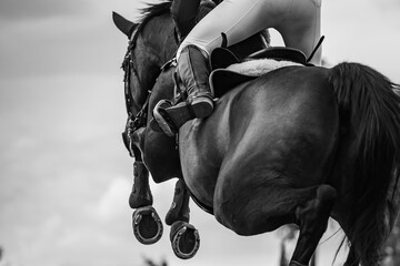 Horse Jumping, Equestrian Sports, Show Jumping themed photo.