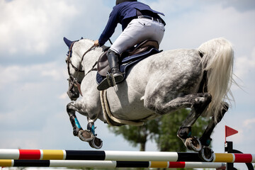 Horse Jumping, Equestrian Sports, Show Jumping themed photo.