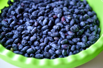 Blue fresh honeysuckle berries in a green pot