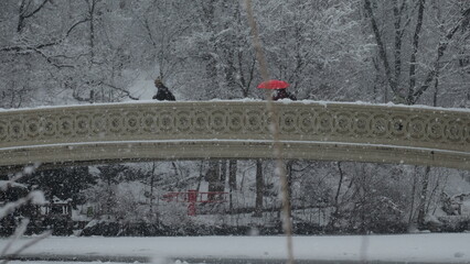 Bow Bridge, Central Park, New York, winter