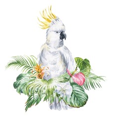 Watercolor white and yellow cockatoo in tropical leaves on white background. Watercolour illustration. © Ann Lou