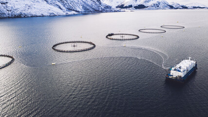 Salmon fish farming in Norway sea. Food industry, traditional craft production, environmental...