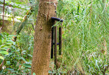 Bamboo sticks. bell. wind-bell. windbells Golden Wind Chimes - Hanging Windbells
