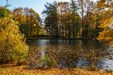 View of city park in autumn