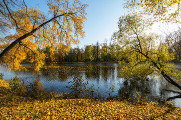 View of city park in autumn