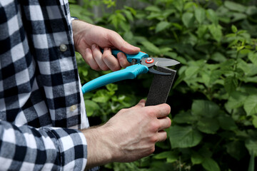 Man sharpening pruner outdoors, closeup. Gardening tools
