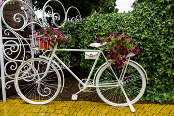 Fototapeta na wymiar flower on a bicycle background lawn 