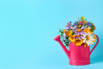 Pink watering can with beautiful flowers on light blue background, space for text