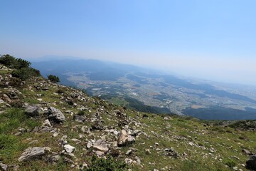 初夏の伊吹山山頂