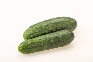 Ripe organic natural green cucumber