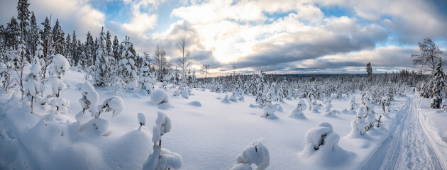 Fantastic natural panoramic evening winter landscape with snow covered tree and cloudy sky. Dramatic overcast sky.