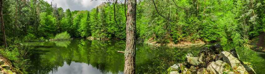 Fototapeta na wymiar Wasserspiegelung in einem schönen Waldsee