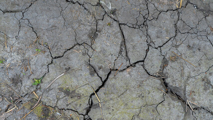 Cracked ground texture with grass pieces