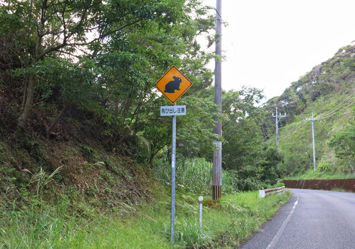 Amami rabbit pop-out caution sign, Amami City, Kagoshima Prefecture, Japan