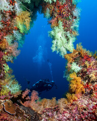 Fototapeta na wymiar Soft coral window and a diver in the background in Maldives