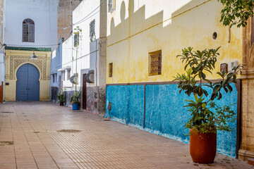 Fototapeta na wymiar Alley in the city of Rabat with a plant in a drum, gaudy colored walls and a gray and yellow Arabic door in the background