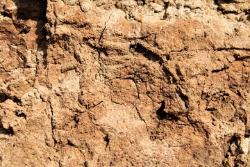texture of the sand