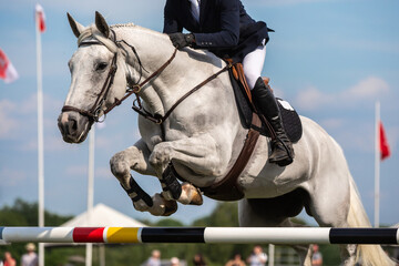 Horse Jumping, Equestrian Sports, Show Jumping themed photo.