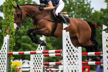 Horse Jumping, Equestrian Sports, Show Jumping themed photo.