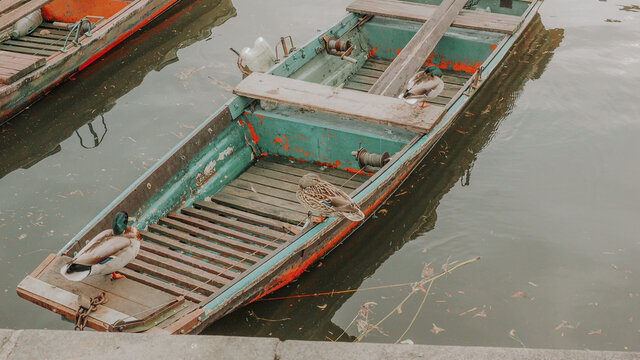 Two ducks standing on the old wooden boat