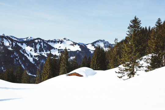 Blue Sky Winter Landscape