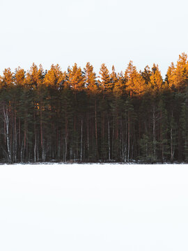 Minimalist Finnland Winter Landscape