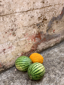 Found still life with watermelons over a severely weathered wall.