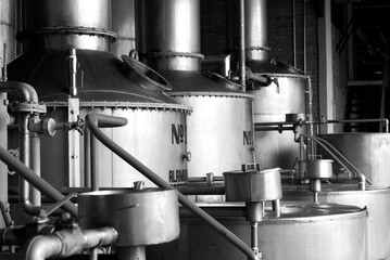 Tequila production factory distillery