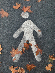 Indications to help you cross the road on the asphalt in autumn