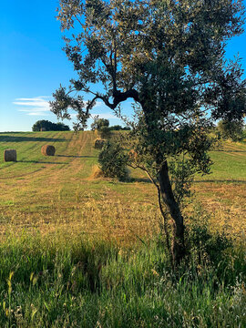 A piece of relaxing Tuscan countryside