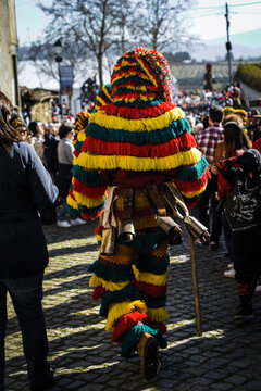 Caretos traditional costume running with cow belts