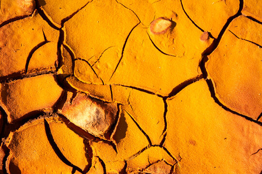 Cracked surface of dry ground in sunlight
