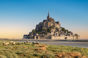 Fototapeta na wymiar Mont Saint Michel abbey at sunrise, UNESCO world heritage site. Flock of sheep grazing in front of it. Normandy, France.