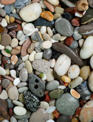 White, gray and brown sea stones, shells and colored glass shine in the sun. Beautiful summer background, coast. Wet pebbles, rocky seashore