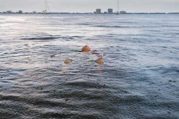 Swimming in the Rain