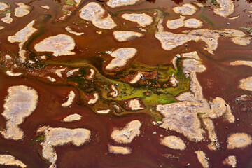 Rough shore of fast river in daylight