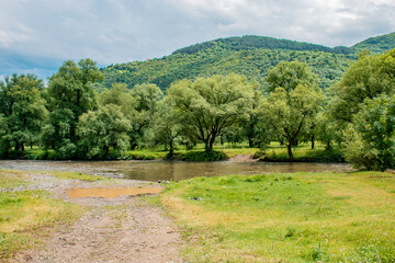 landscape with trees and river
