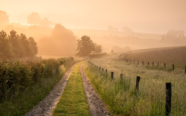 countryside road on Belgian farmland at sunrise - 439657135