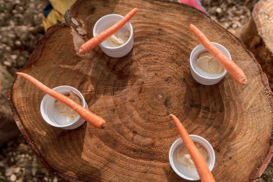 healthy snack outside for children on an outdoor natural  logs as a table