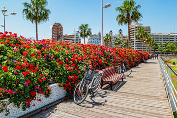 Bridge of Flowers in Valencia Spain - 439657528