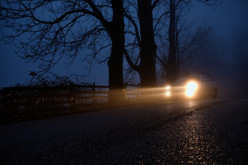 Car Parked In The Forest
