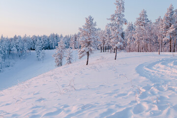 winter landscape in Siberia