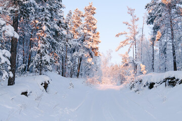 winter landscape in Siberia